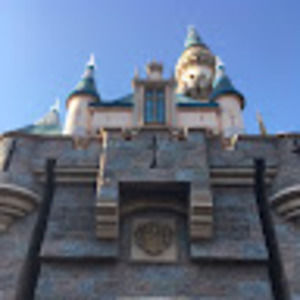 Meet your Posher, Shea